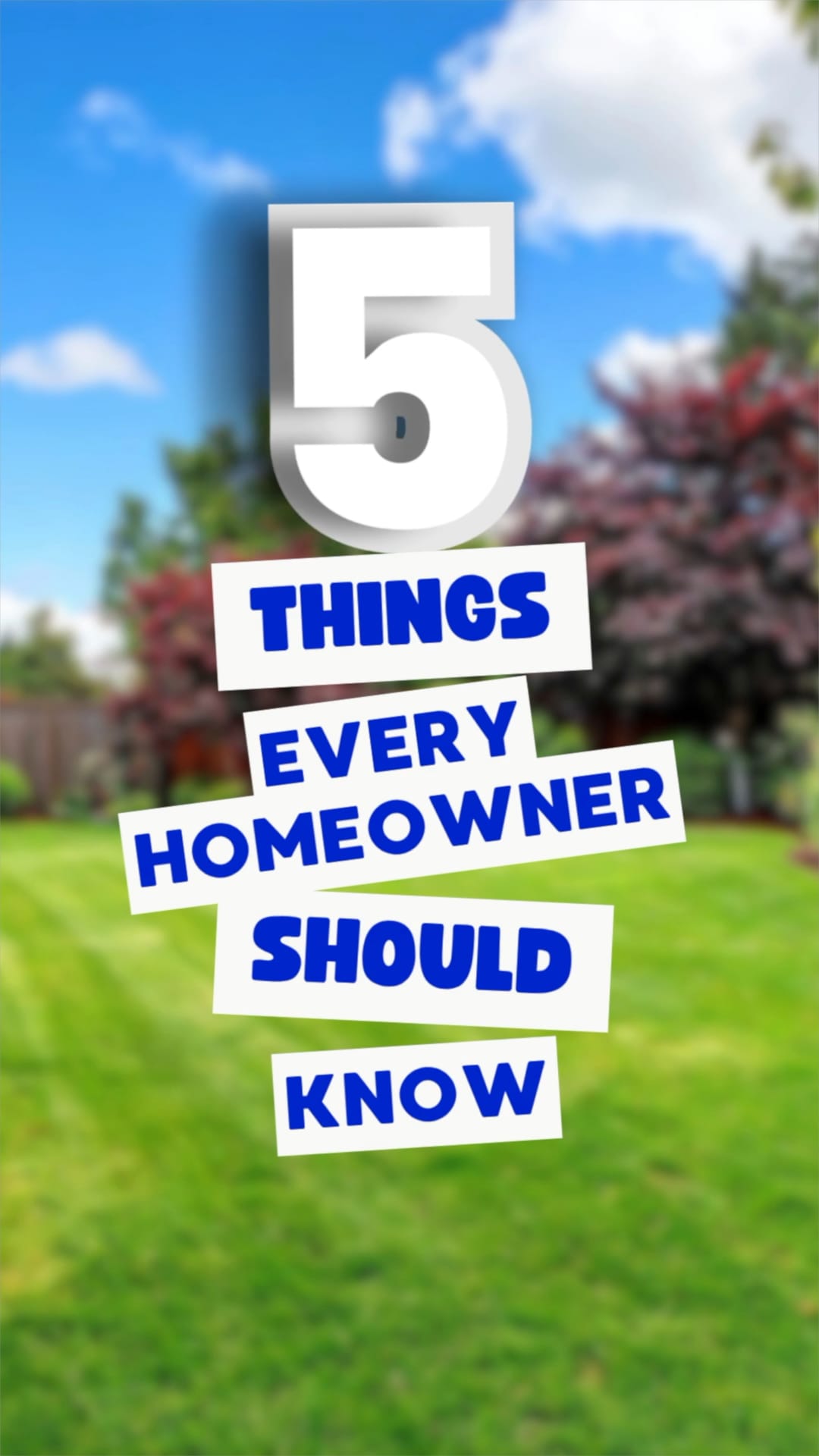 5 Things Every Homeowner Should Know About Shade
